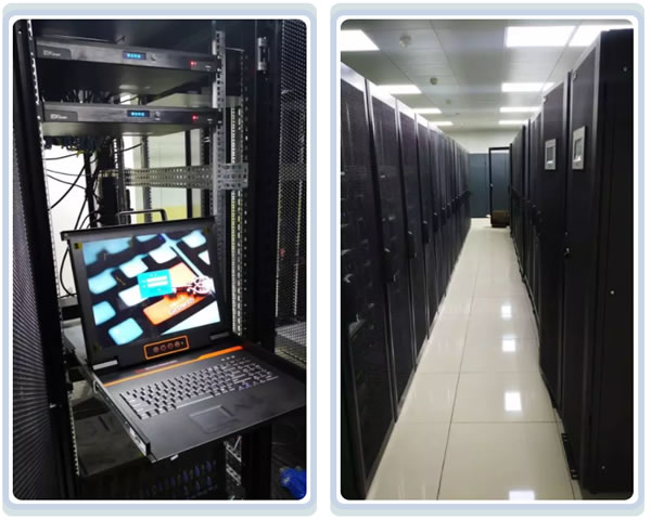 深度剖析香港站群服务器的线路选择与影响因素